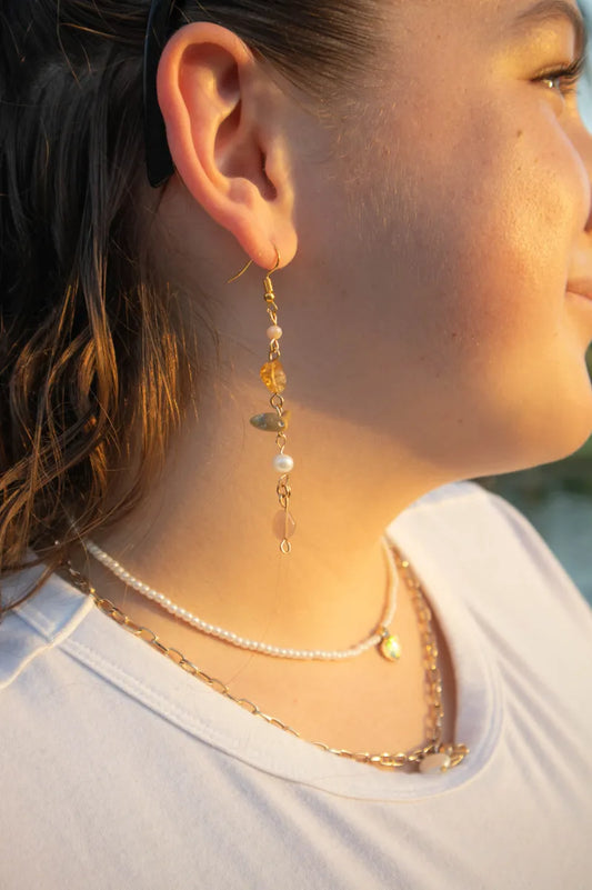 Crystal Chain Coral Dangle Earrings